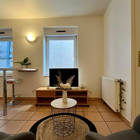 Le Studio Theolier Downtown - Close To Pedestrian Street Tournon-sur-Rhone Exteriör bild