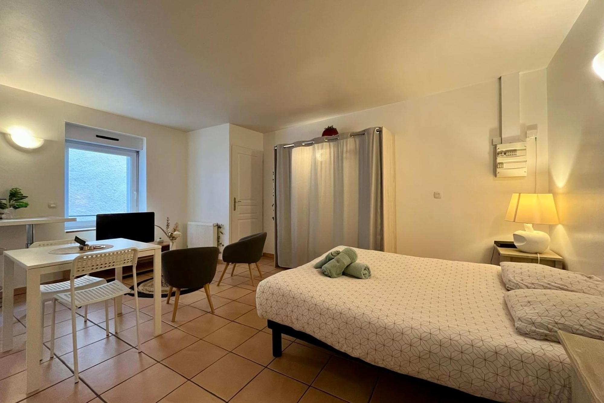 Le Studio Theolier Downtown - Close To Pedestrian Street Tournon-sur-Rhone Exteriör bild