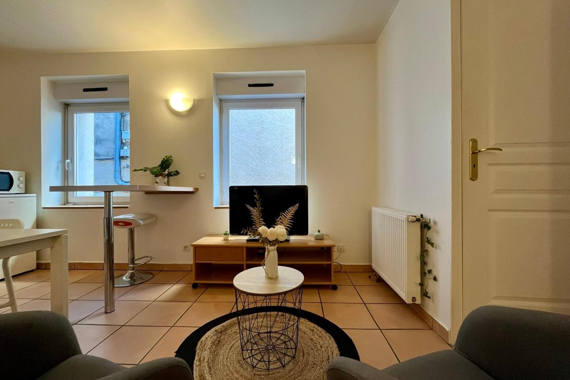 Le Studio Theolier Downtown - Close To Pedestrian Street Tournon-sur-Rhone Exteriör bild