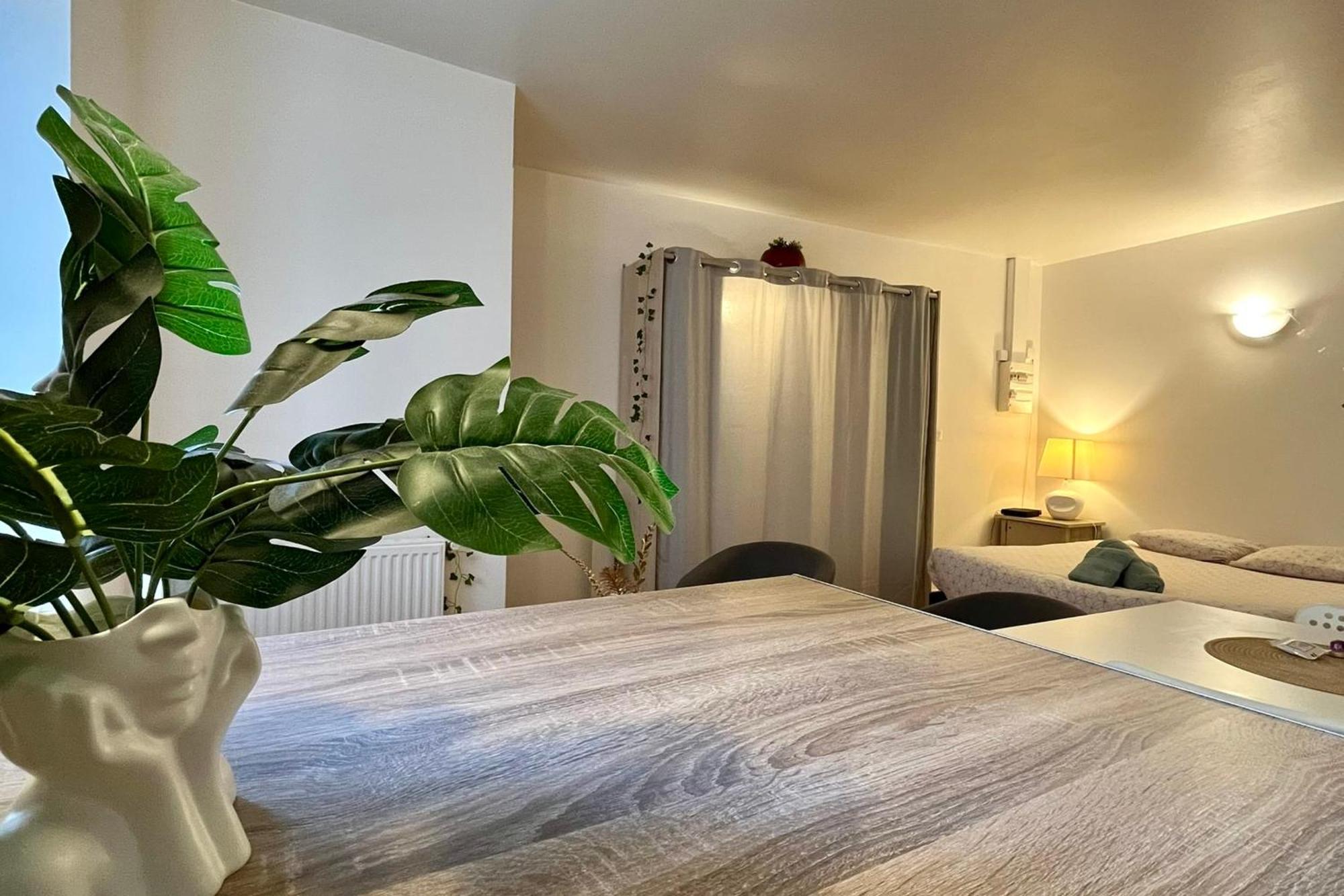 Le Studio Theolier Downtown - Close To Pedestrian Street Tournon-sur-Rhone Exteriör bild